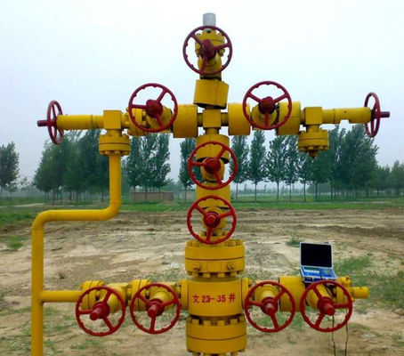 Double Pipe Oil Well Christmas Tree Xmas Tree Valves PR1 PR2