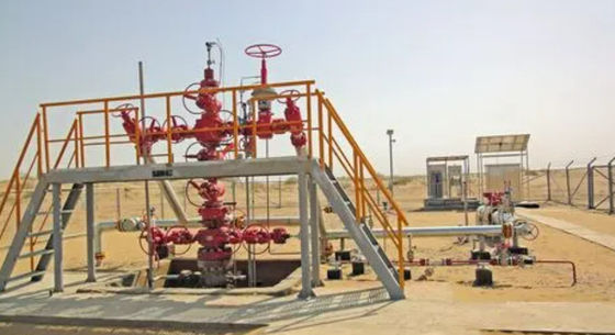 Wellhead Hydraulic Control Valve Wellhead Control Panel PSL1-PSL4