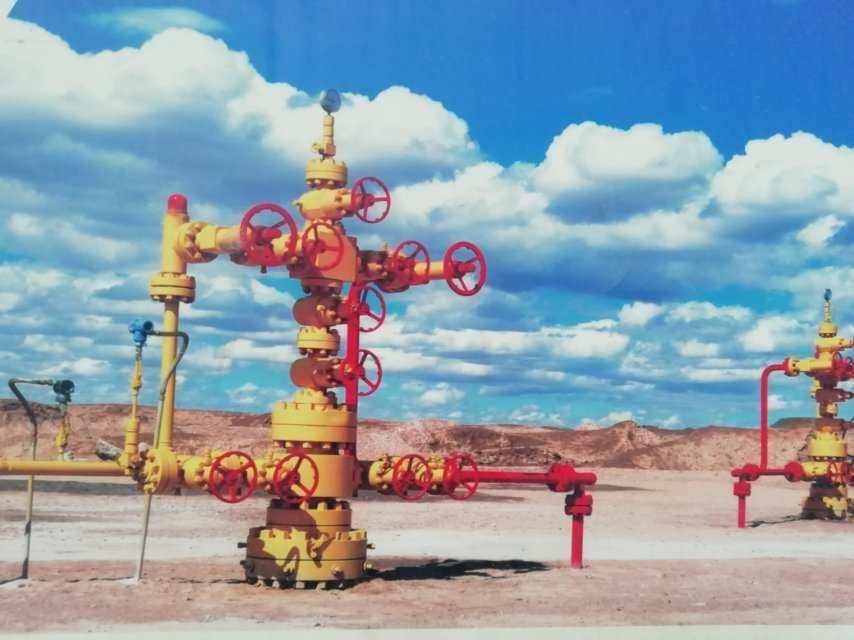 API 6A AA-HH Wellhead Christmas Tree Oil And Gas Custom Color